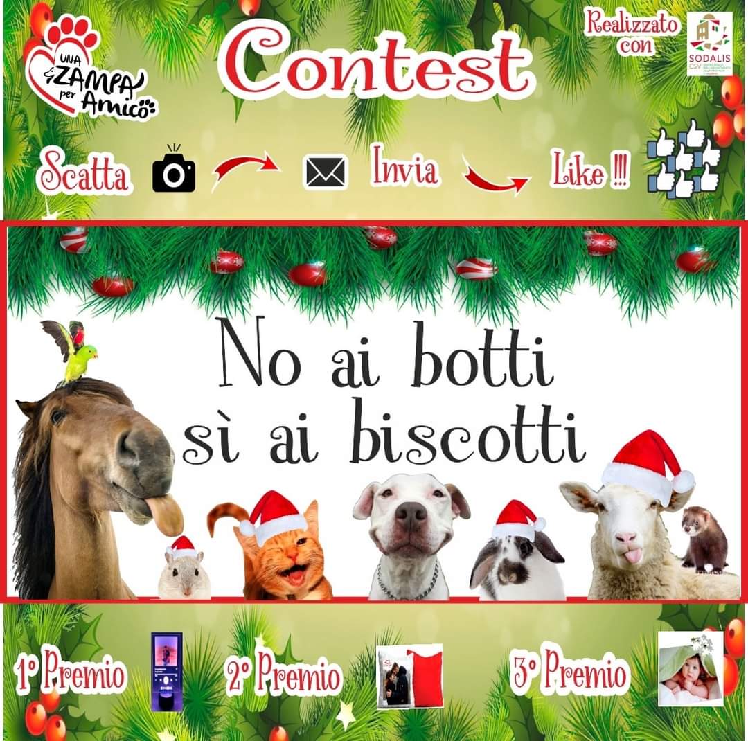 Sant’Egidio del Monte Albino: Una Zampa per Amico, contest fotografico “No a botti, sì a biscotti”