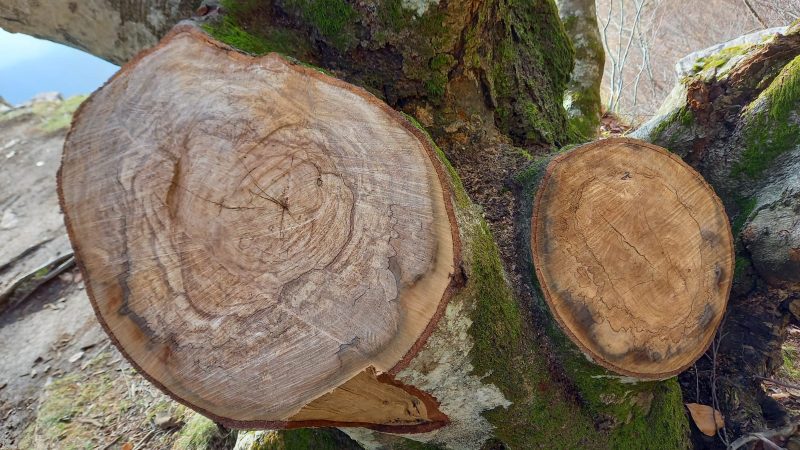 Avellino: a Ripe della Falconara, su Monte Terminio, sfregio a belvedere