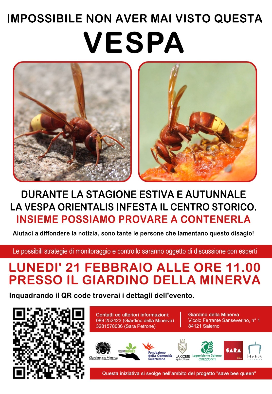 Salerno: vespa orientalis, incontro al Giardino della Minerva