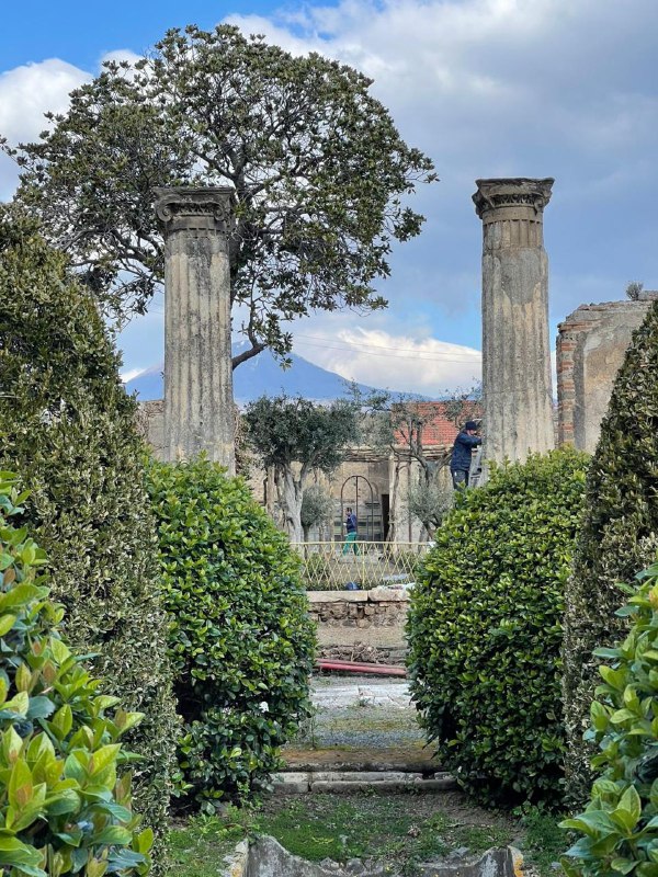 Pompei: Giornata Nazionale Paesaggio, rinasce Vivaio presso Casa di Pansa