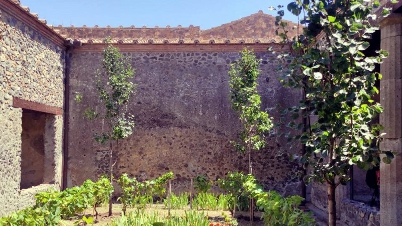 Pompei: nuova gestione patrimonio verde, aggiunta altri vigneti