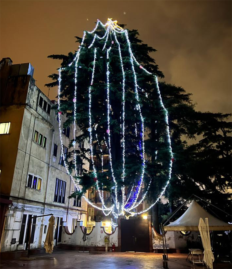 Roccapiemonte: “Natale al centro”, con Villa Silvia, l’albero di Natale più alto d’Italia e anche quello più piccolo