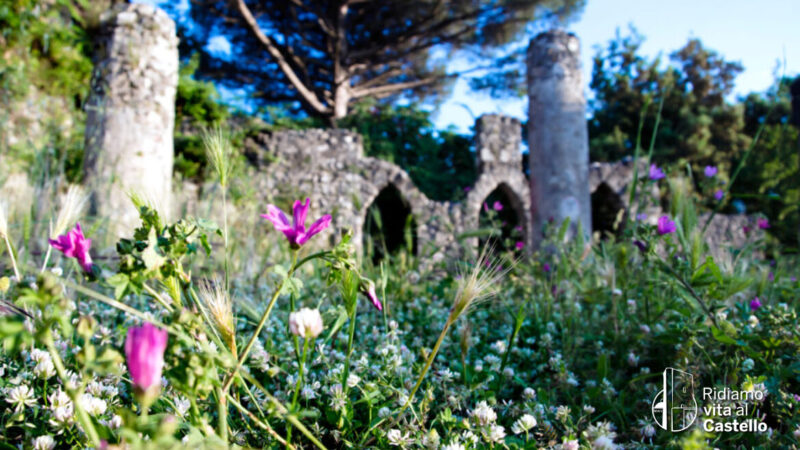 Nocera Inferiore: Ridiamo vita al Castello a Parco-Palazzo Fienga, visite guidate