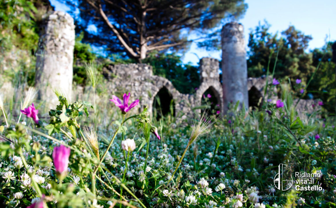 Nocera Inferiore: Ridiamo vita al Castello a Parco-Palazzo Fienga, visite guidate