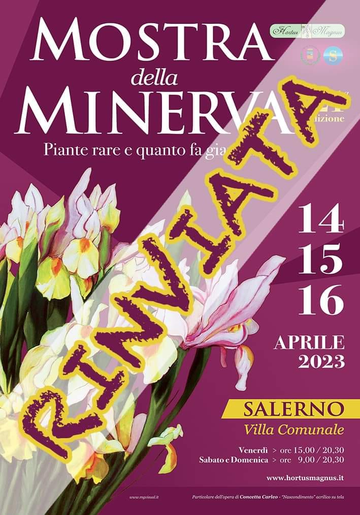 Salerno: rinviata Mostra della Minerva