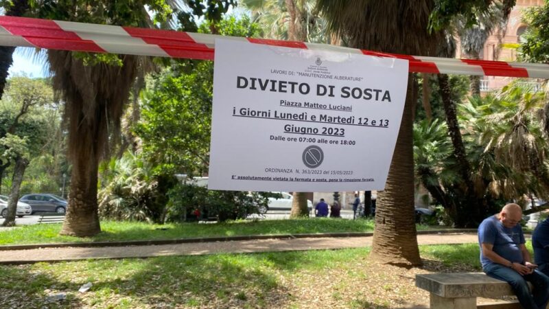 Salerno: manutenzione verde pubblico e divieti di sosta “fantasma” in Piazza Luciani, cons. comunale Pessolano “Basta disagi per cittadini” 