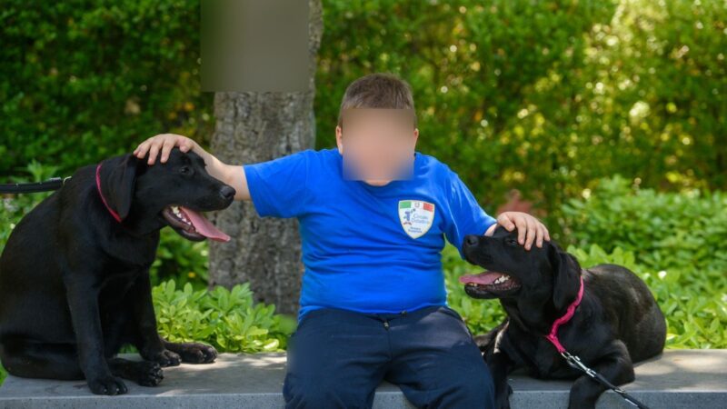 Nocera Inferiore: Villa dei Fiori, Stella e Luna, 2 nuove amiche per piccoli pazienti, cuccioli di labrador per spettro autistico e riabilitazione  