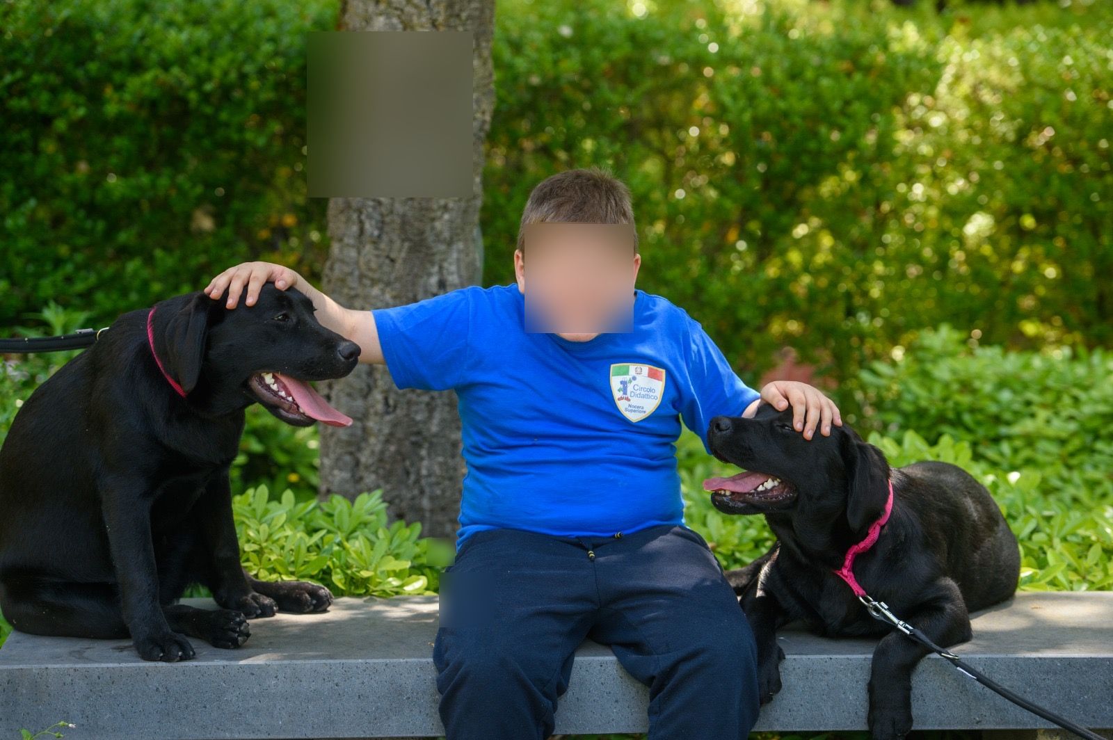 Nocera Inferiore: Villa dei Fiori, Stella e Luna, 2 nuove amiche per piccoli pazienti, cuccioli di labrador per spettro autistico e riabilitazione  