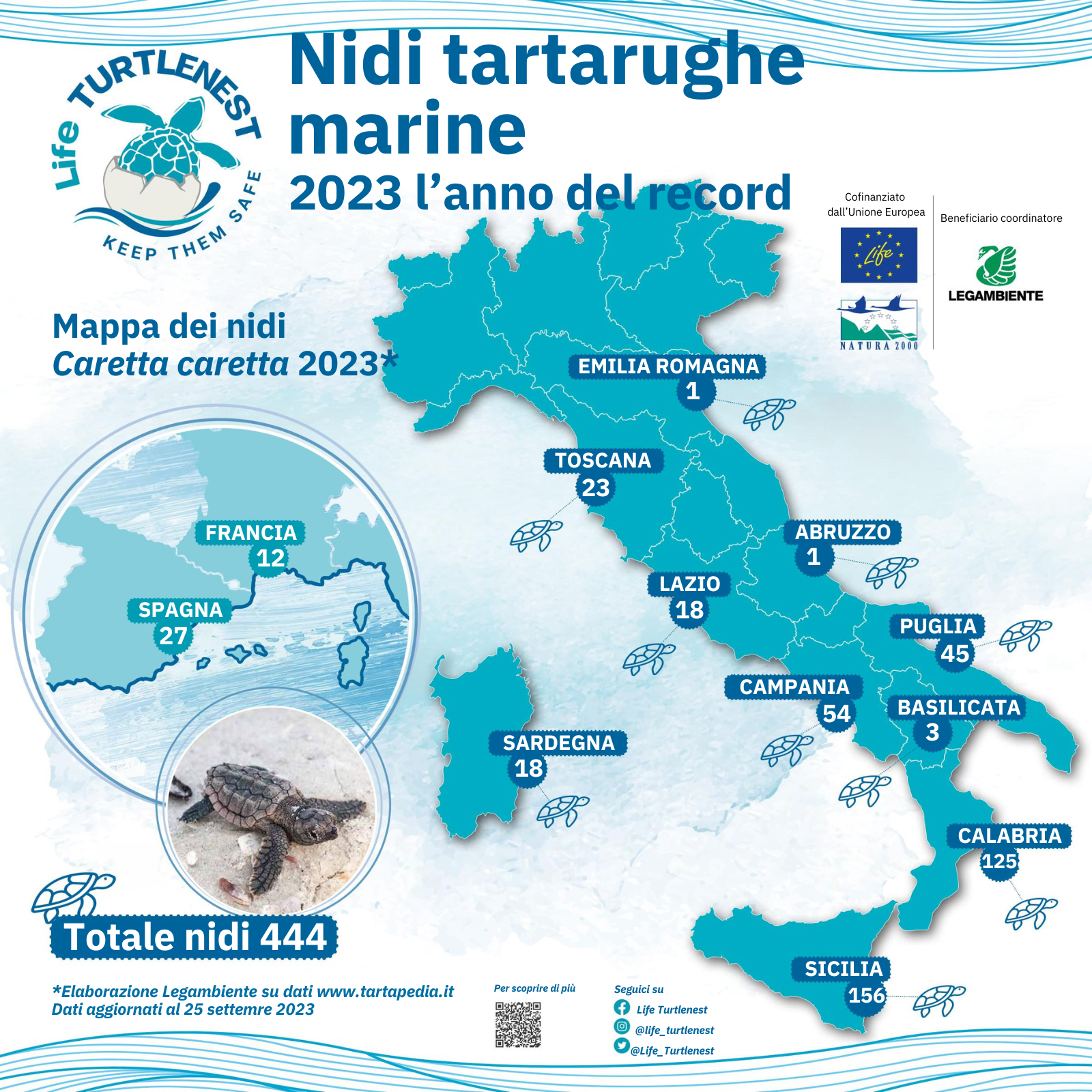 Campania: tartarughe marine, 2023 anno record delle nidificazioni, identificati 54 dei 444 nidi trovati in Italia