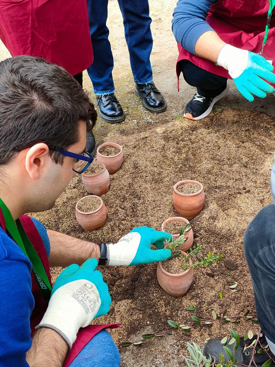 Pompei: scadenza bandi di gare per Azienda agricola Pompei e Orti didattici “Horti Plinii”