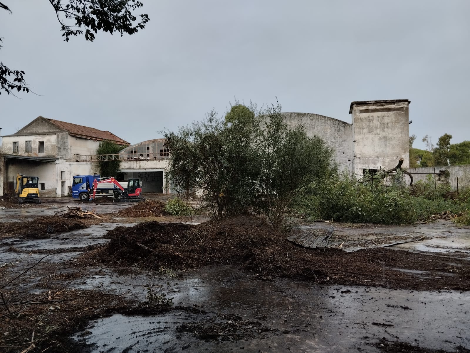 Capaccio Paestum: al via restauro ex stabilimento Cirio