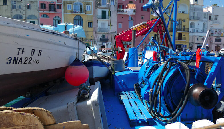 Procida: 2 giorni del progetto europeo FEAMP su pesca