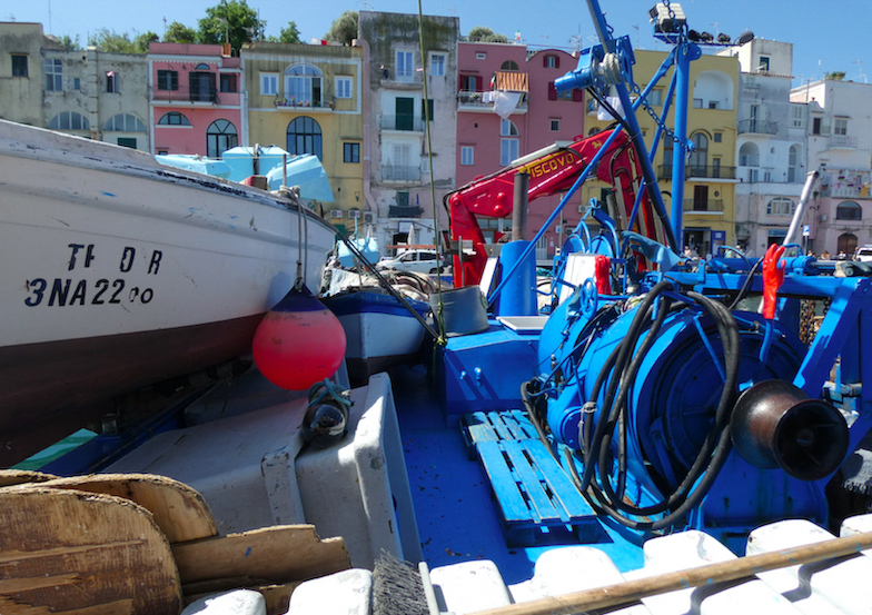 Procida: 2 giorni del progetto europeo FEAMP su pesca