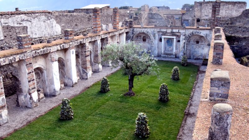 Pompei: Parco Archeologico, corso di formazione per Giardinieri d’arte, iscrizioni entro 27 dicembre 2023   