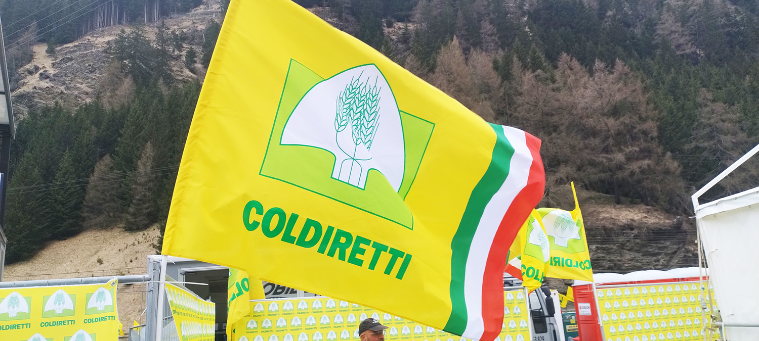 Campania: Coldiretti, Malsecco, in Costiera Amalfitana s’ intensifica lotta a fungo di limoni