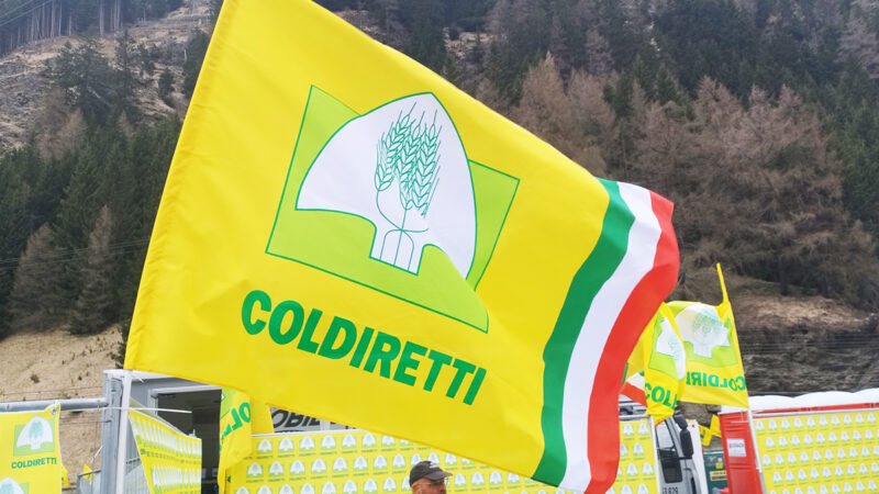 Campania: Coldiretti, Giornata sicurezza alimeentare, dati allarmanti per cibi stranieri