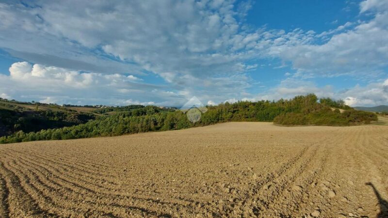 Campania: Giornata Ambiente, Coldiretti “Cementificazione, fa sparire 2 terreni agricoli a giorno”