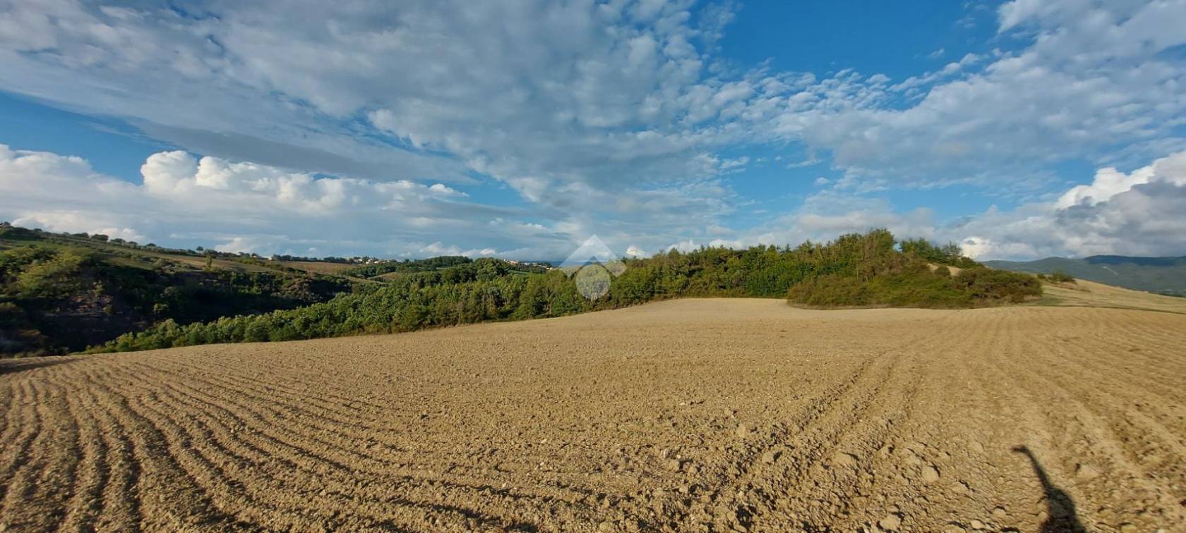 Campania: Giornata Ambiente, Coldiretti “Cementificazione, fa sparire 2 terreni agricoli a giorno”