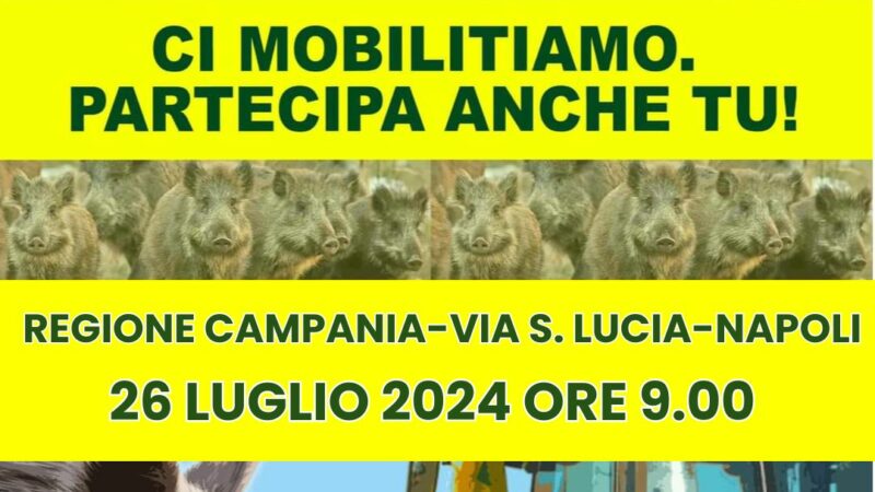 Campania: Coldiretti, emergenza cinghiali, mobilitazione 