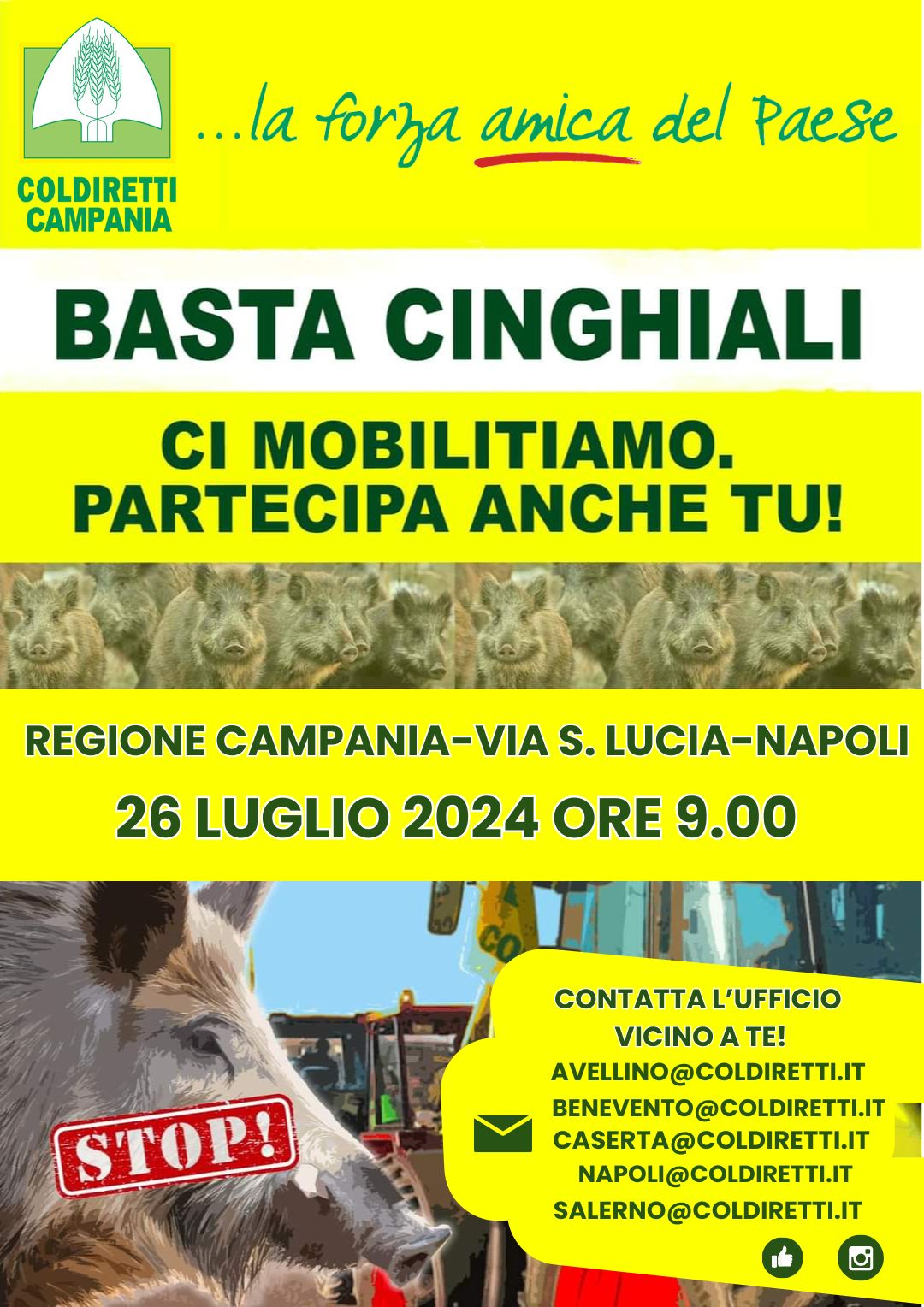 Campania: Coldiretti, emergenza cinghiali, mobilitazione 