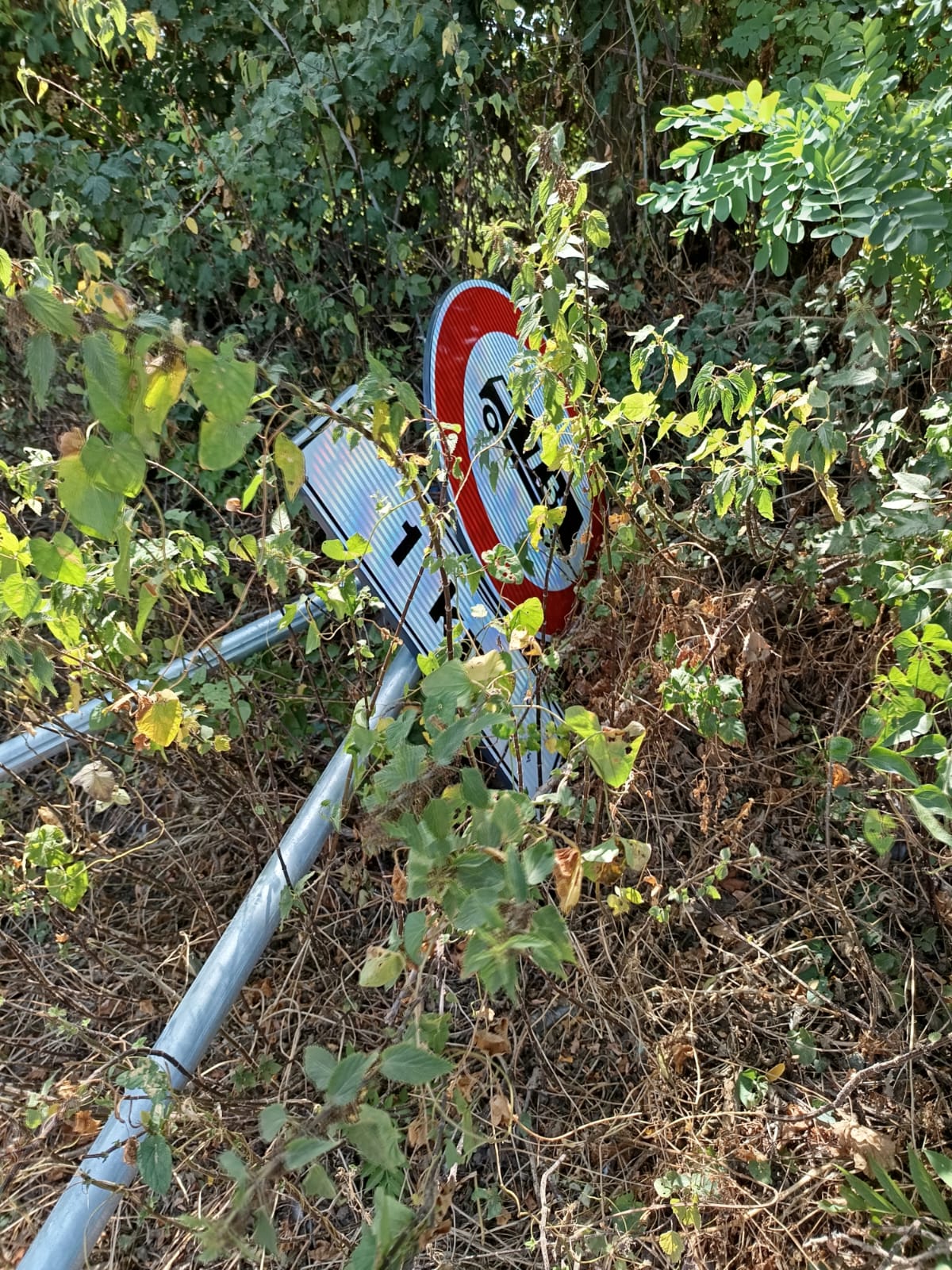 Battipaglia: Amministrazione comunale, denuncia atto intimidatorio segnaletica urbana