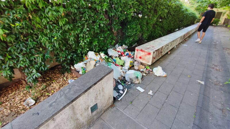 Salerno: Codacons “Tutela civica 0, blatte e topi ovunque!!!”