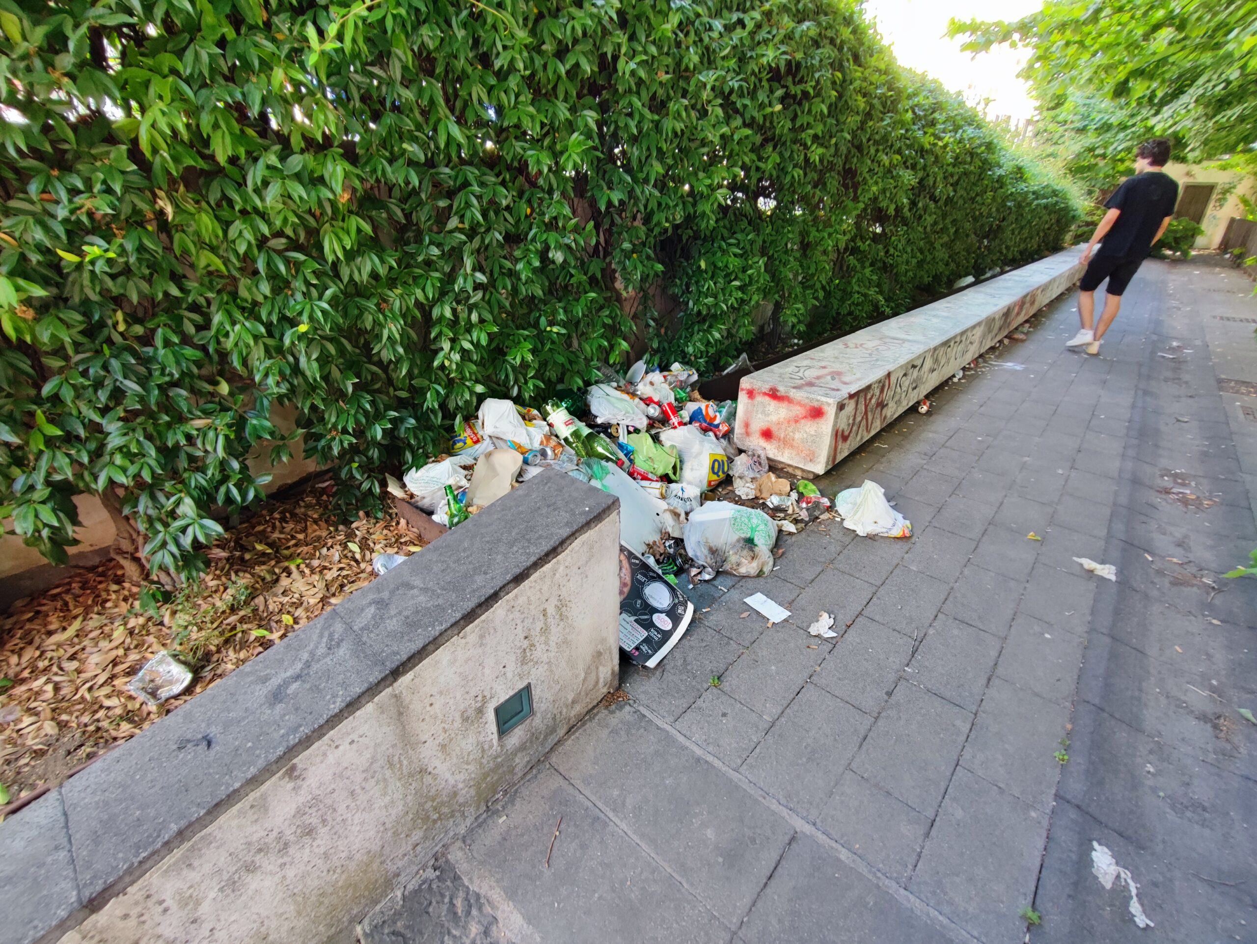 Salerno: Codacons “Tutela civica 0, blatte e topi ovunque!!!”