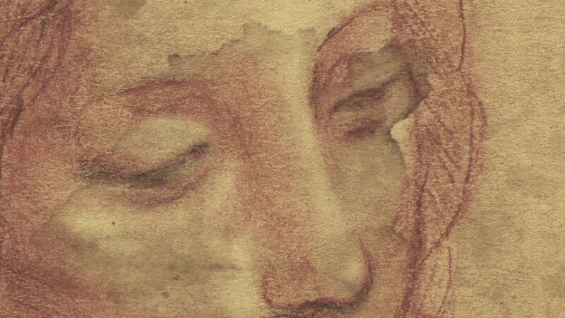 Ginevra: scritta di Leonardo da Vinci e suo probabile intervento in disegno attribuito ad allievo prediletto Cesare da Sesto conservato in Svizzera, scoperte dello storico Silvano Vinceti