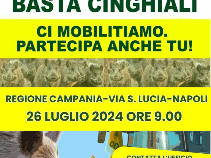 Campania: Coldiretti, emergenza cinghiali, mobilitazione
