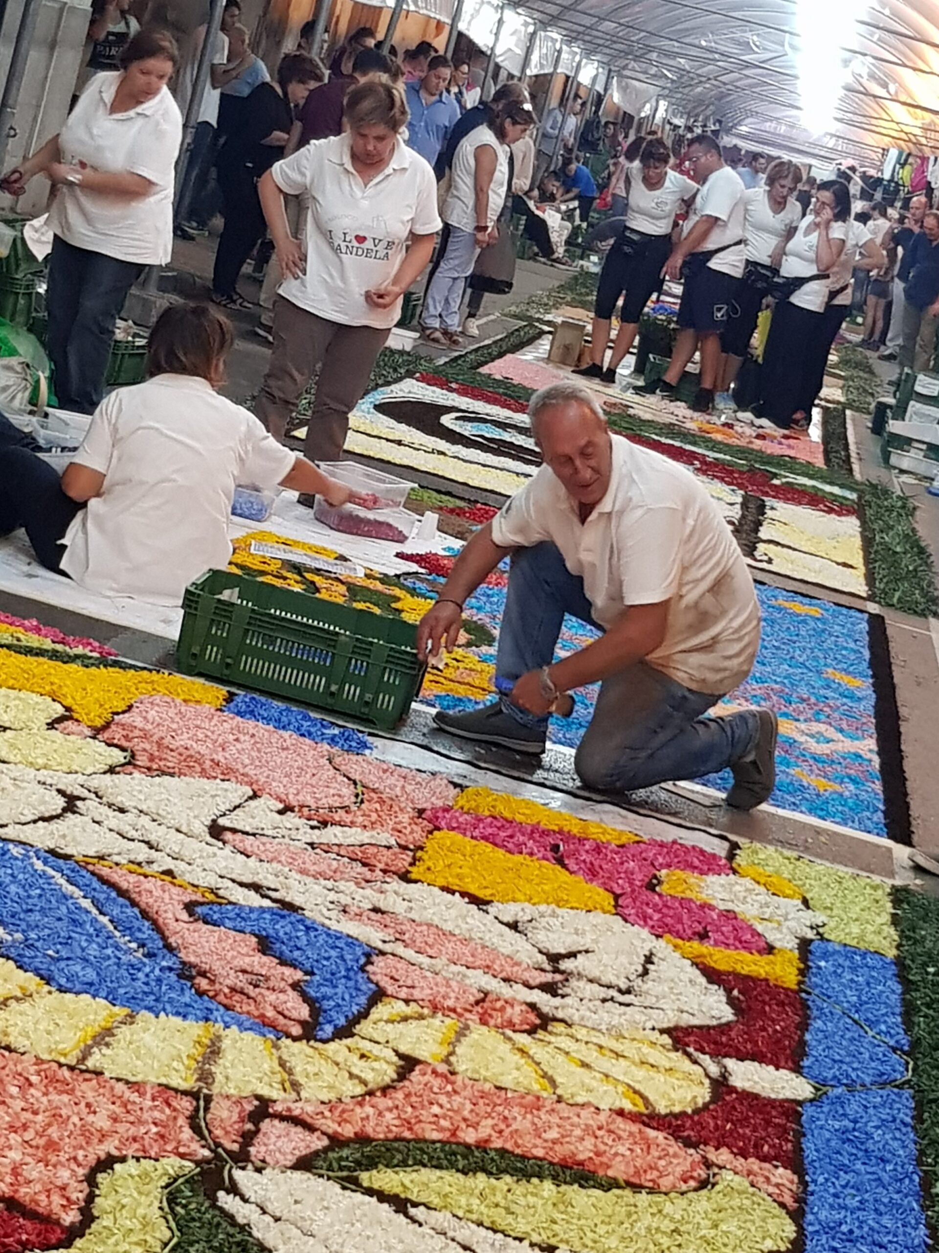 San Valentino Torio: verso Giubileo 2025 Infiorata di Casatori