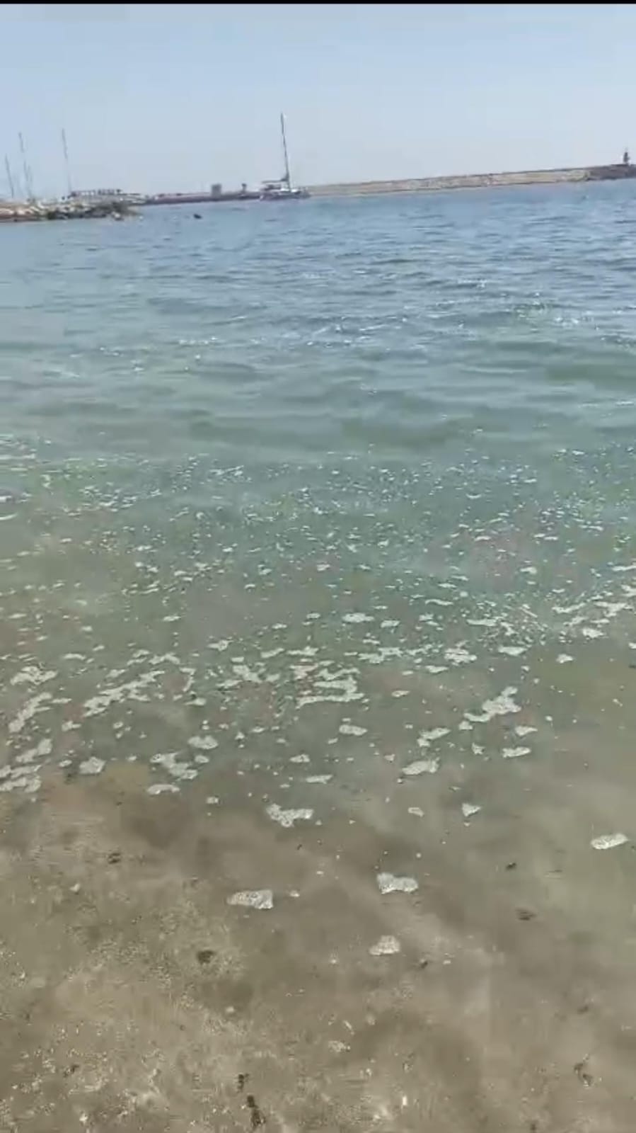 Salerno: mare sporco, consigliere comunale Pessolano “Troppi scarichi di liquami da imbarcazioni”