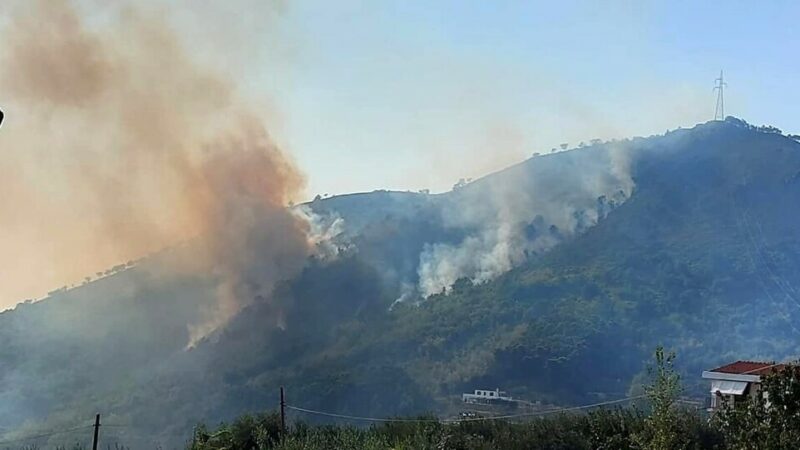 Bracigliano: Gruppo consiliare “Radici”, roghi Valle dell’Irno, appello a tutela ambientale