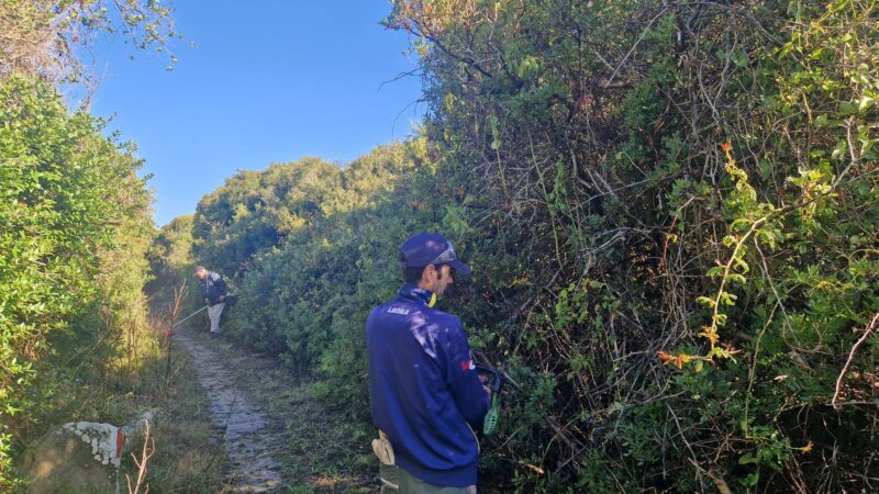 Agropoli: riqualificazione Trentova – Tresino, oasi naturalistica prende vita