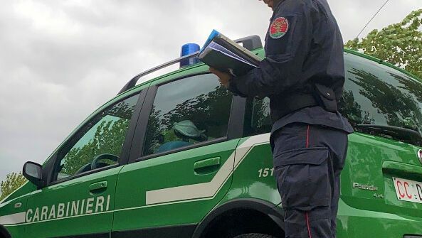 Capaccio Paestum: Carabinieri -Guardie Ambientali Accademia kronos denunciano a piede libero imprenditrice per illecita gestione e smaltimento rifiuti