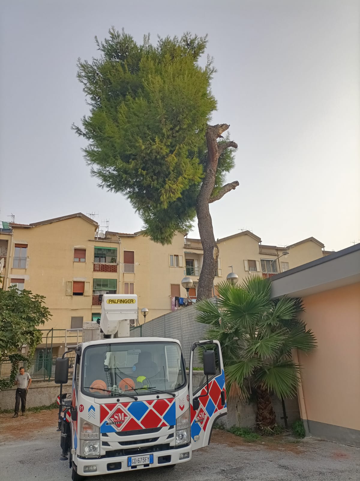 Salerno: abbattimento alberi pericolosi