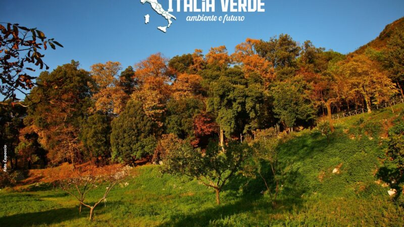 Campagna: Ambiente e Futuro, nasce “Italia Verde”, presentazione con Uncem- Associazione Italiana Coltivatori- Regione- Fna – Università 