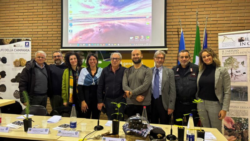 Giffoni Valle Piana: a GAL Colline Salernitane seminario su raccolta funghi epigei e tartufi 