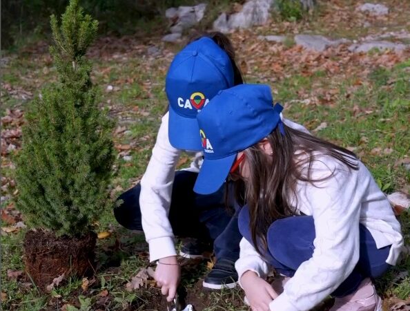 Cava de’ Tirreni: Cava Energia, progettto “Adotta l’alberello”