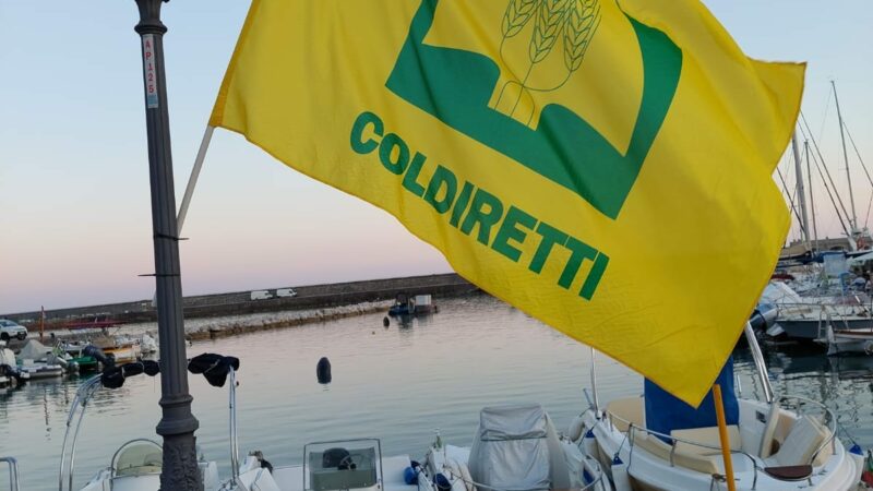 Salerno: Coldiretti, a mercato Campagna Amica fiornata su pesca