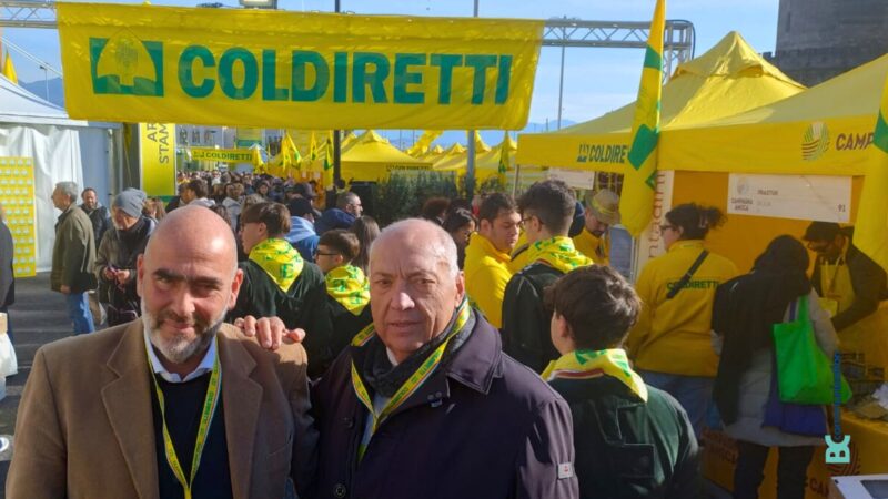 Campania: Coldiretti, prevenzione brucellosi bufalina, invito a disinfezione stalle