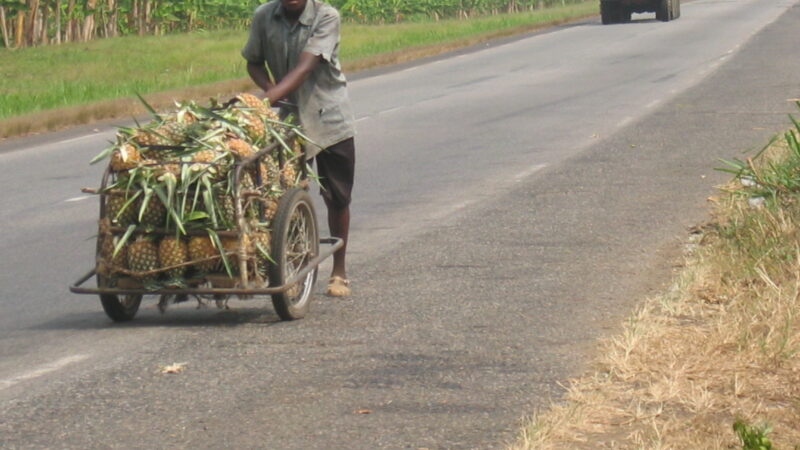 VERBI SWAHILI: KUTANGAZA propagare, divulgare