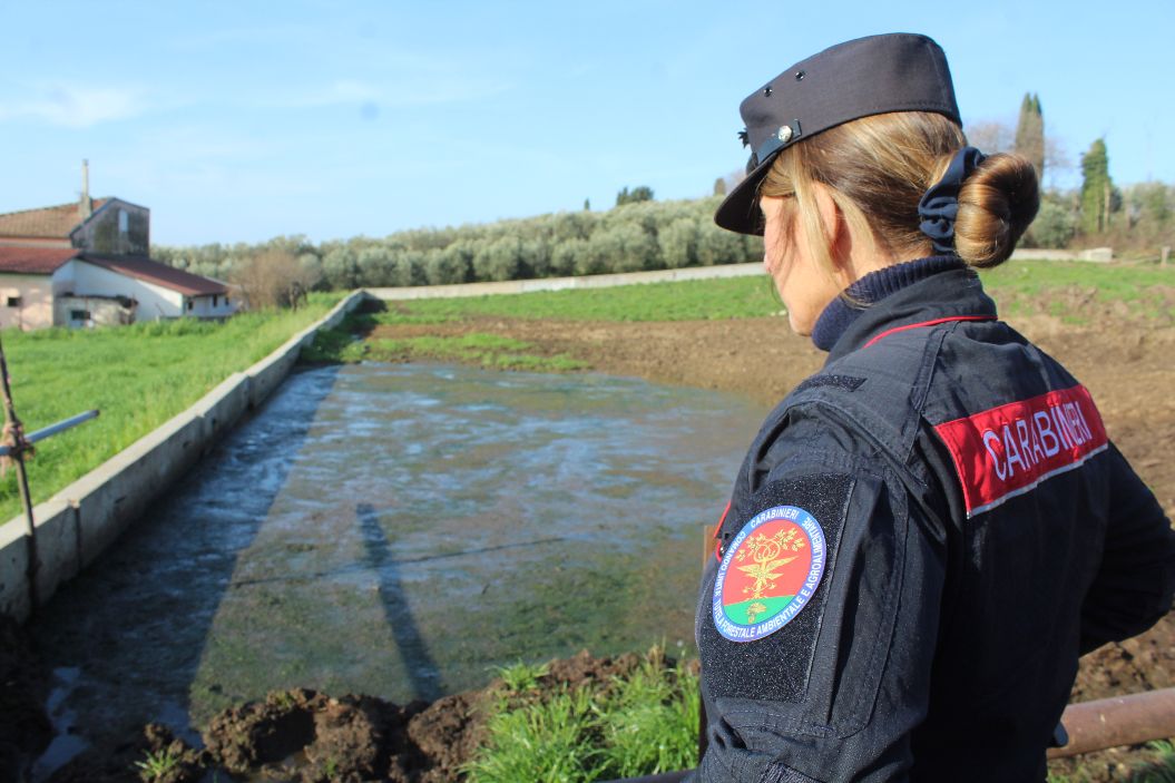 Eboli: Carabinieri – Guardie Ambientali Accademia Kronos, denunciato imprenditore agricolo e sequestro azienda zootecnica 