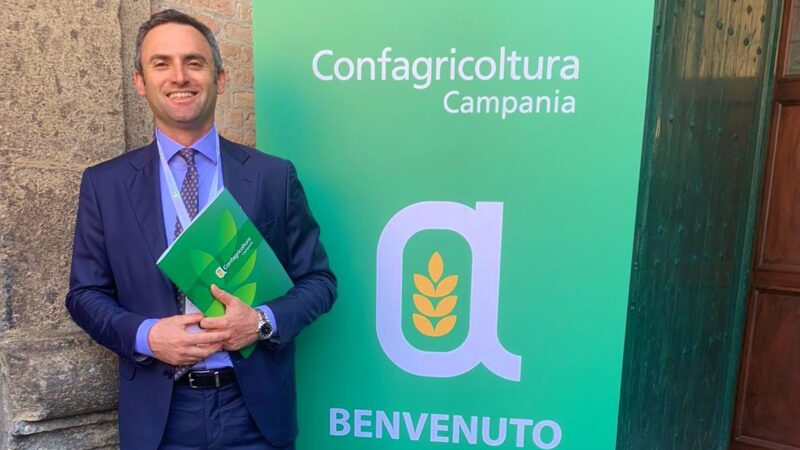 Campania: Agricoltura, sospeso per 4 giorni divieto spandimento effluenti zootecnici