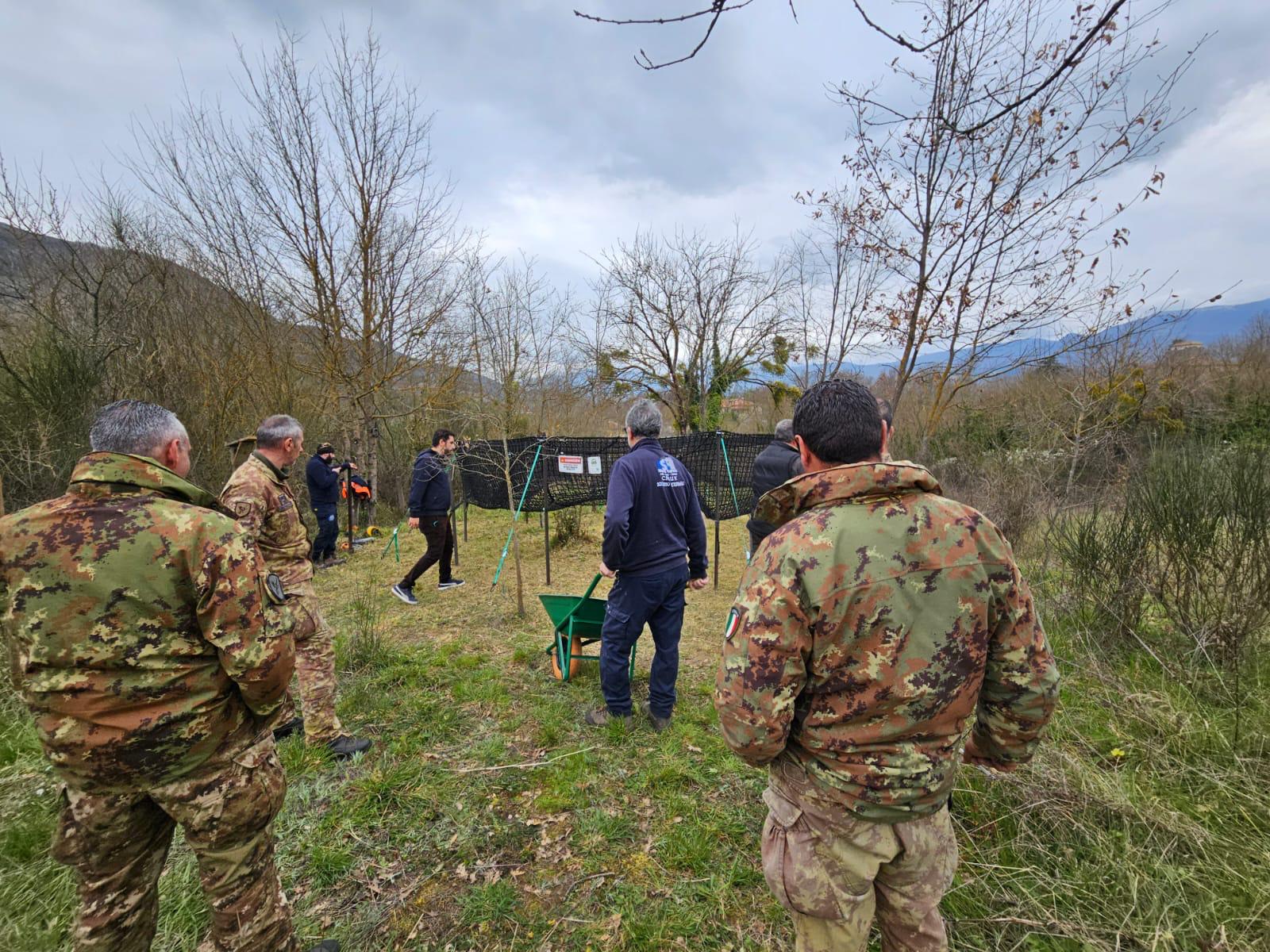 Salerno: in Prefettura riunione su peste suina africana