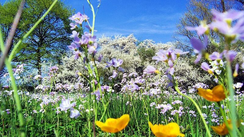 Prima che Primavera arrivi