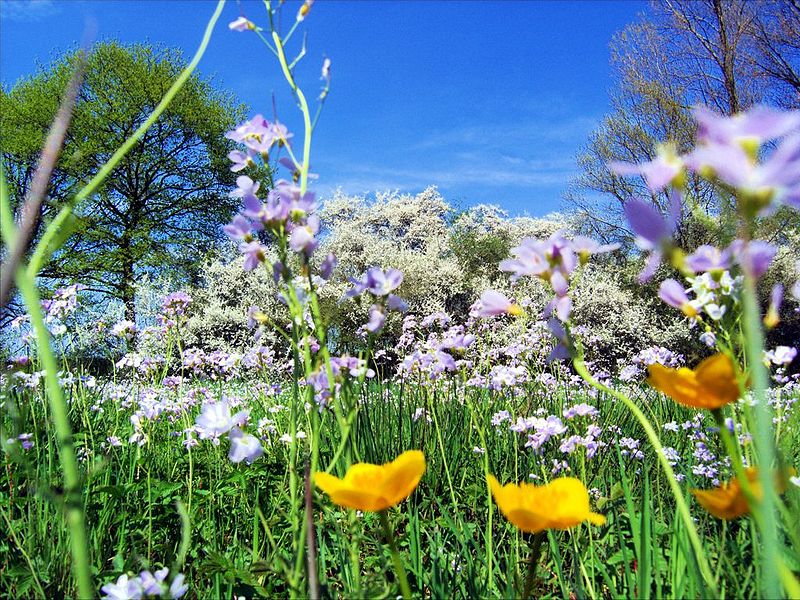 Prima che Primavera arrivi